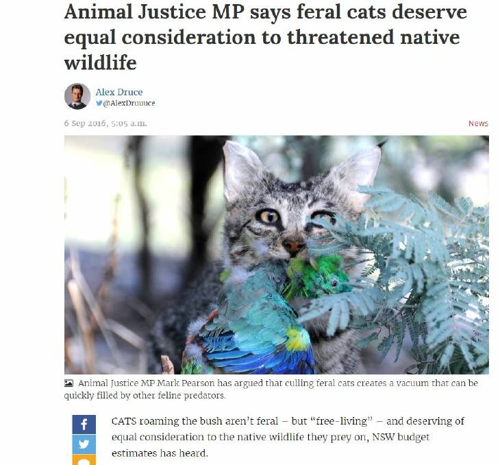 MP defends feral cats again, says phasing out livestock is more important