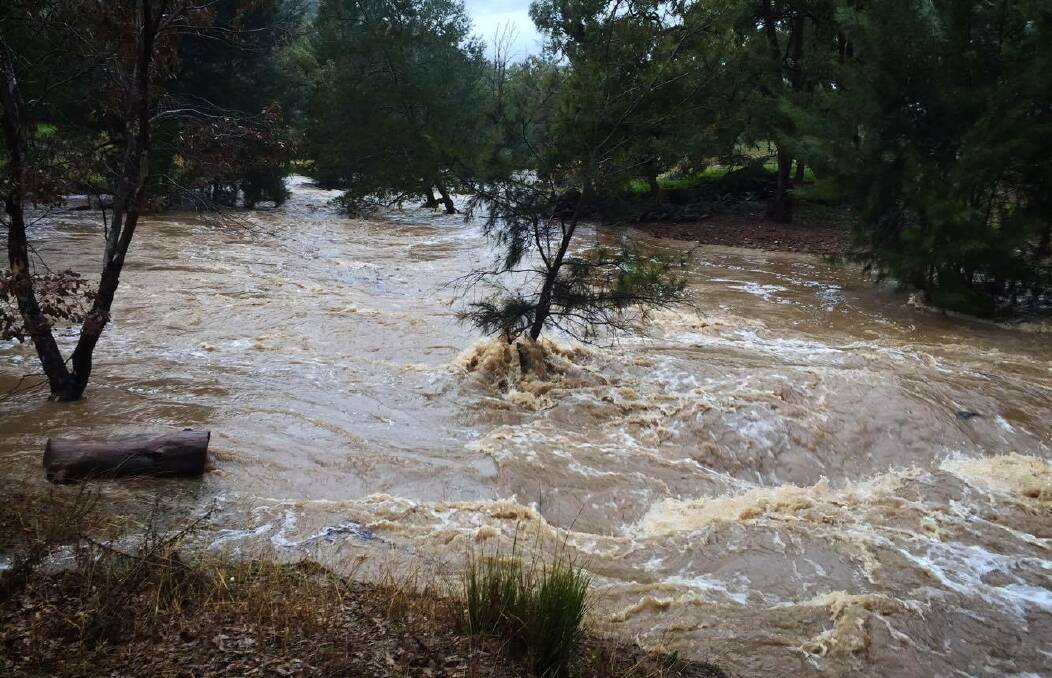 Down pour: Flooding in Grattai Creek, Grattai on Wednesday after the wettest day of this year. Photo: by Rene Harvey. 