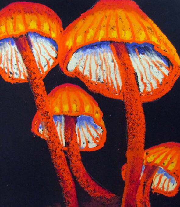 Colourful: Fungi of all shapes and colours will be a feature of Mark Kempton’s art exhibition which opens this Saturday in Rylstone.