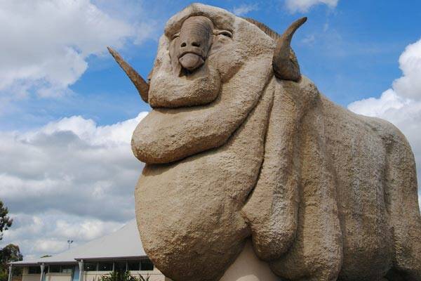 'RAMBO':  Mudgee wool growers have proposed a statue recognising the local wool industry, such as Goulburn's Big Merino - although not necessarily as big. PHOTO: Goulburn Post