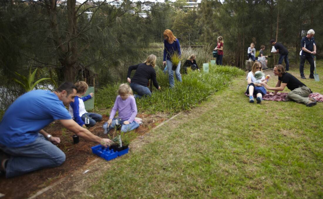DIG IN:  Member for Bathurst Paul Toole is encouraging people to take part in National Tree Day. 