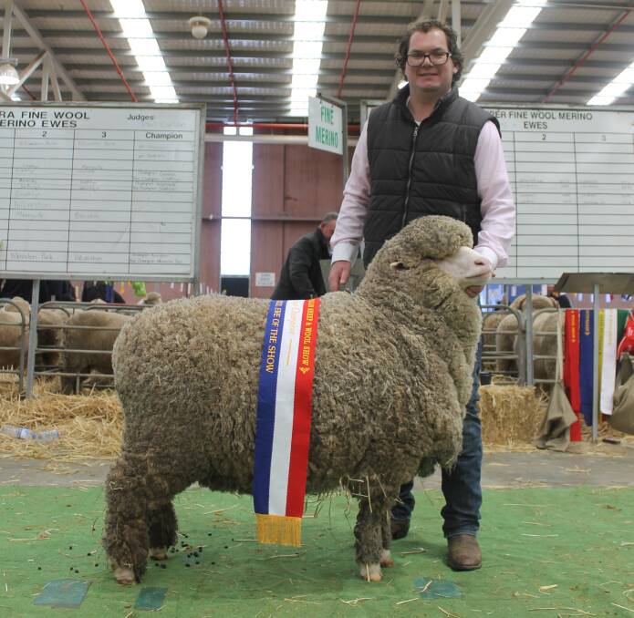 WINNER: Andrew Rayner of Grathlyn Merino Stud of Mudgee showed the grand champion superfine wool ewe at the Australian Sheep and Wool Show in Bendigo. 