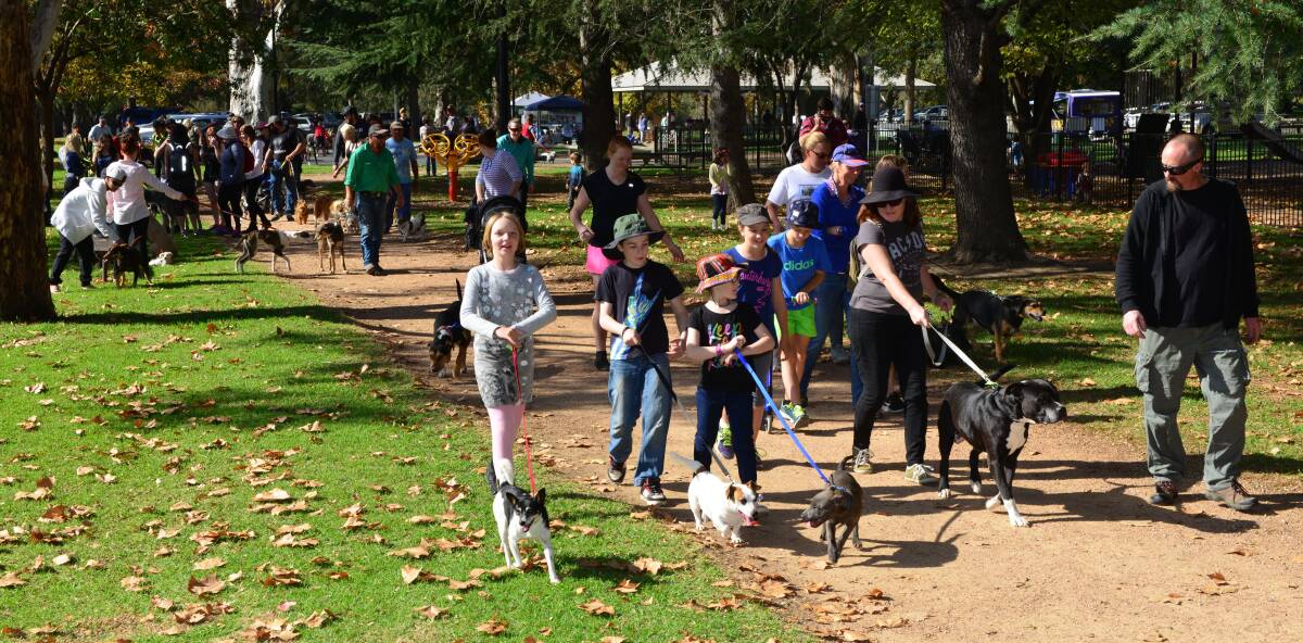 DOG DAY: Dog Rescue Mudgee's last event, Mudgee Mutt Strut, attracted more than 300 people.