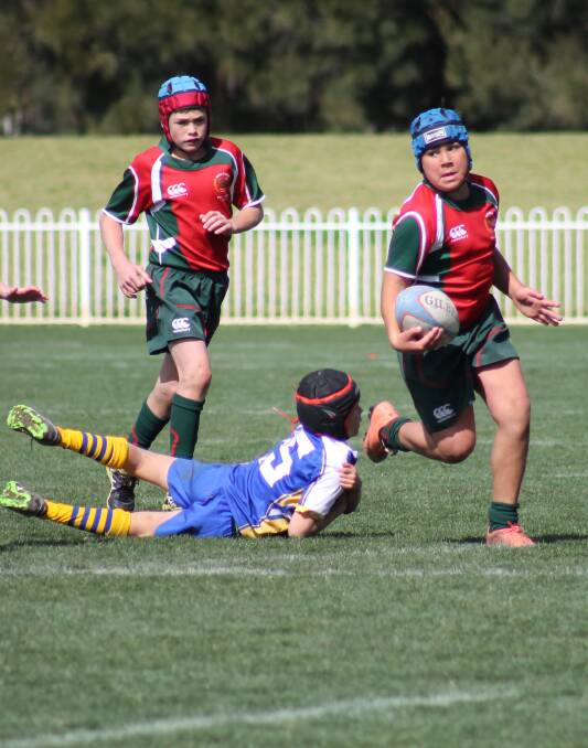 Elias Kennedy at the PSSA Primary Rugby Union state titles at Glen Willow this week. 