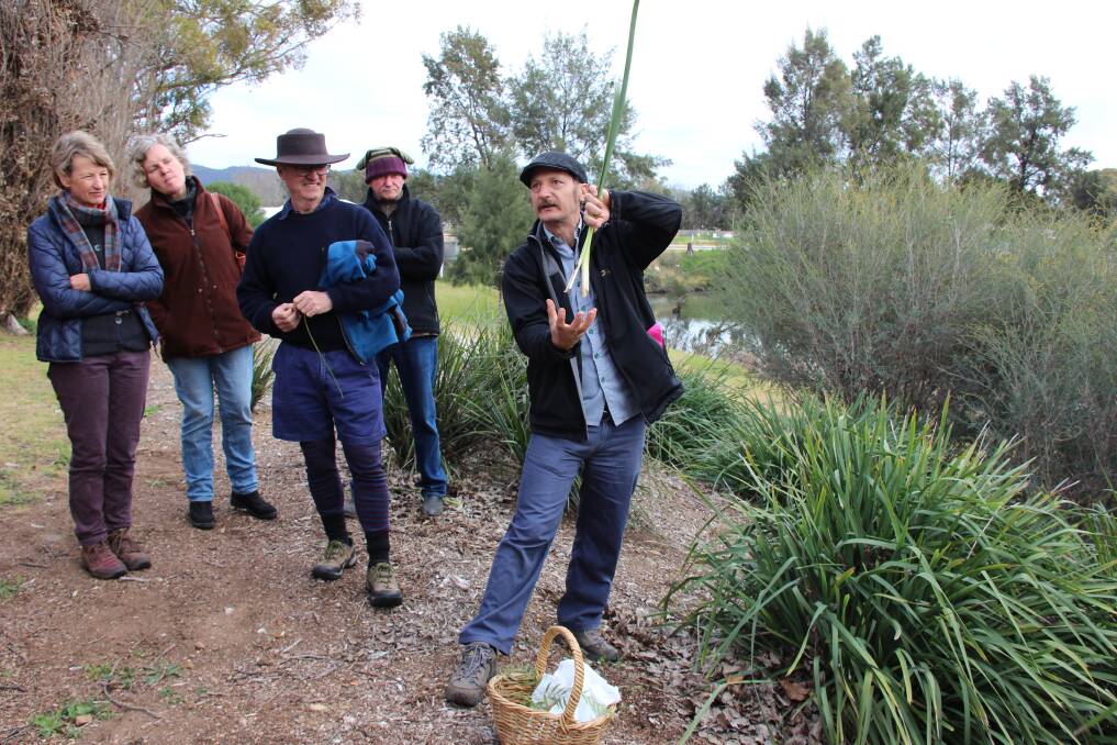 USEFUL:  Diego Bonetto explains how Lomandra longifolia (Spiny-head Mat-rush or Basket Grass) has uses other than landscaping. 