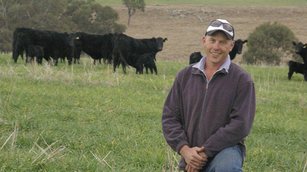 Richard Thompson with three-year-old Angus cows with the first calves grazing on barley at “Ballantyne”, Cassilis. He plans to increase his breeder numbers from the current 500 upwards to 700 within the next six years.