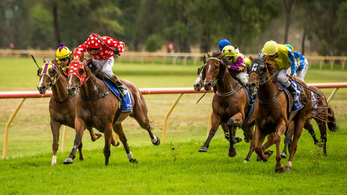 OUT IN FRONT: Lancelot (red and white polka dots) leads the field home in last year's Gilgandra Cup. Photo: SARSFIELD THOROUGHBREDS
