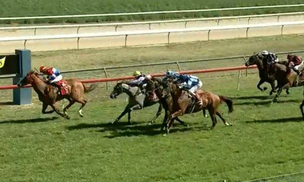 OUT IN FRONT: Loves A Hassle produced a great run at Tyers Park on Sunday to win the championship preview at Bathurst. 