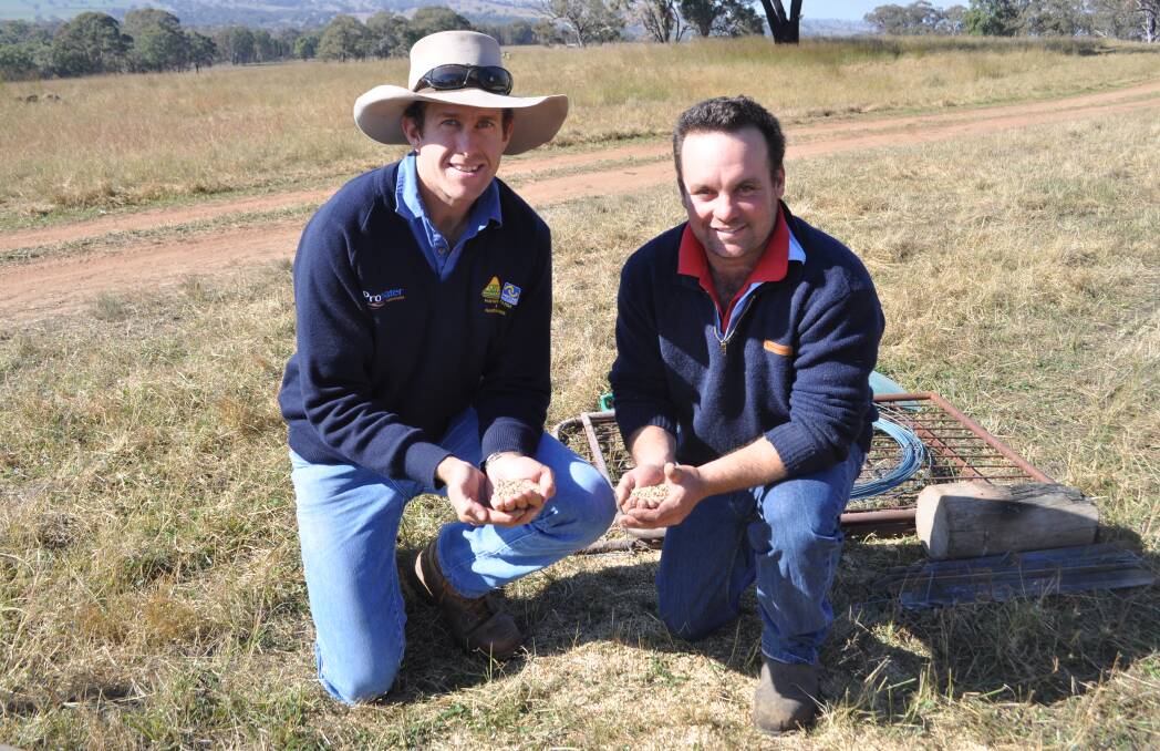 Coolah CRT agronomist Ed Blackburn with James Armstrong, Cassilis Park.