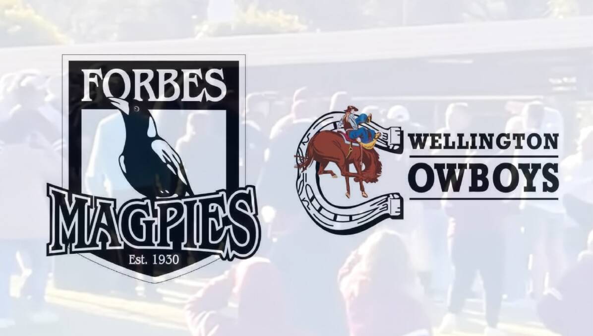 The off-field brawl occured during a match between the Forbes Magpies and Wellington Cowboys.
