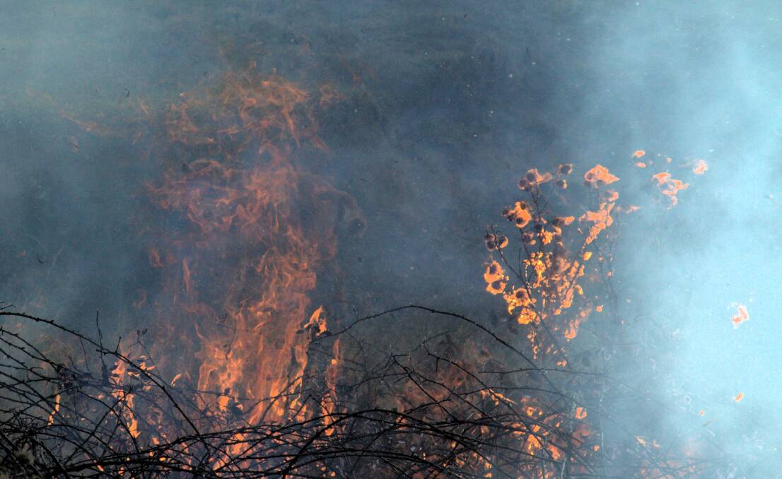 Safeguard your property: Summer is the time we face the greatest bushfire risk. Photo: CONTRIBUTED