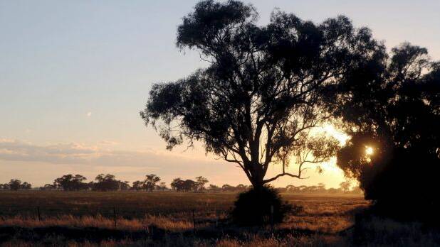 Land owners help: NSW biodiversity conservation reforms