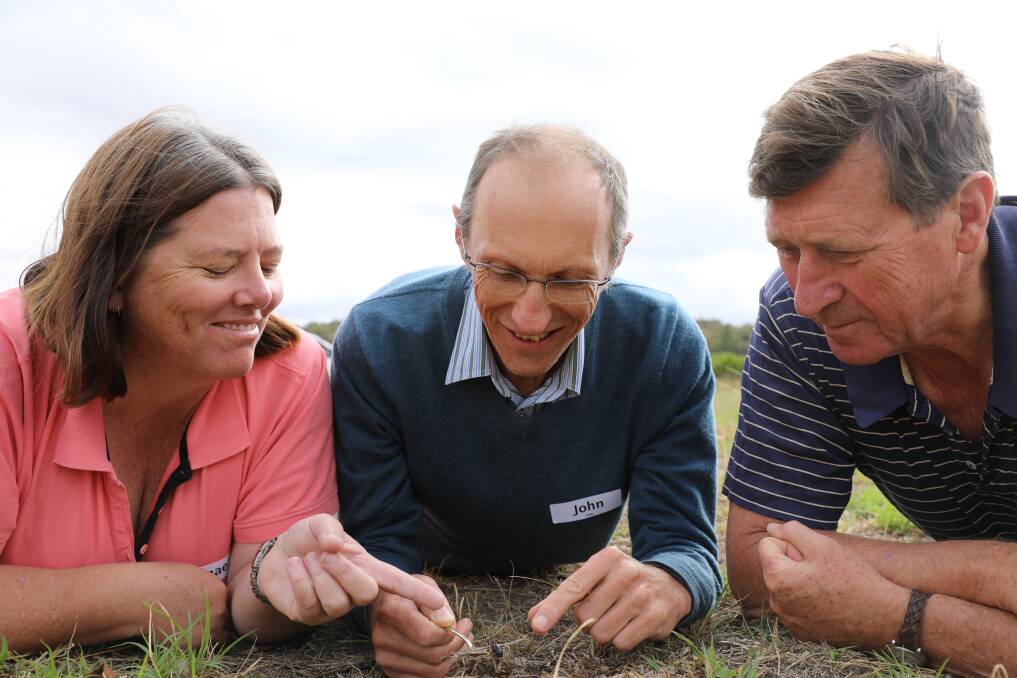 TESTING: Landmark agronomist Renae Hill (Mudgee); HM Educator John King (NZ); Graz1er Scott Alison (Barraba). Photo: Simone Kurtz