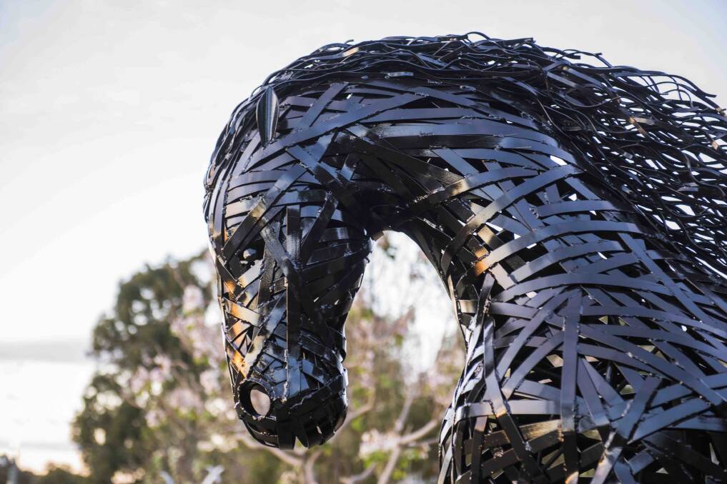 SCULPTURES: ‘Wild One’ by Sam Anderson. Photos: supplied.