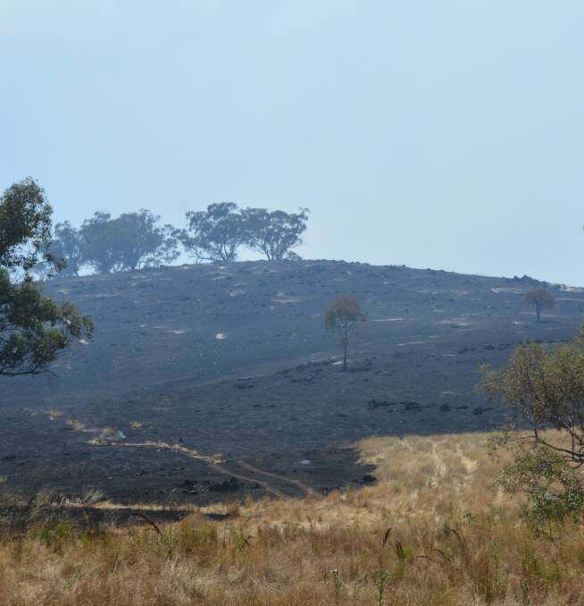 WUULUMAN FIRE: Firefighters - many local - have been on scene since Wednesday trying to control a fire burning near Wellington, just kilometres from the Mid-Western region. Photo: NICK GRIMM