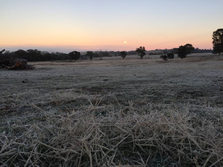 COMMON SIGHT: Nine out of the first 10 days of July in Mudgee have had a minimum temperature below zero.