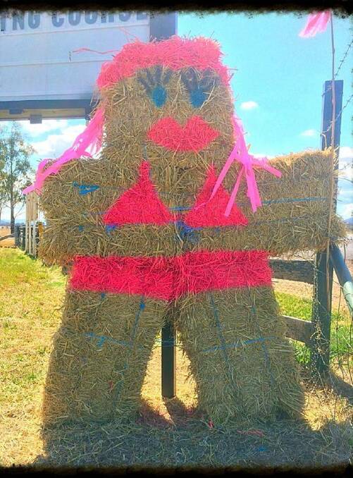 Pink Up hay bale display 'Pinkie' at AREC.