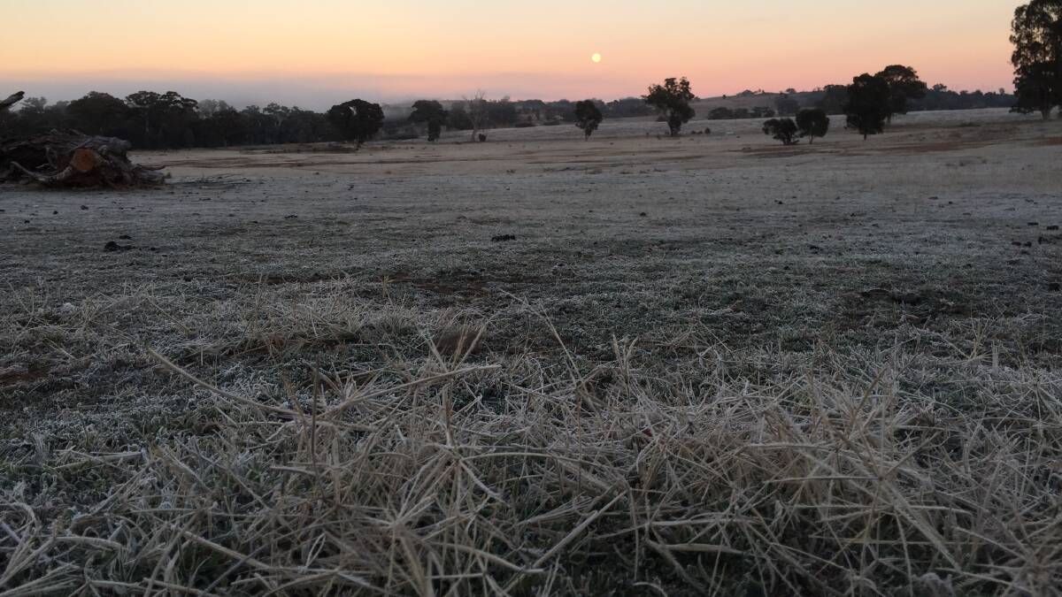 COMMON SIGHT: 12 out of the first 13 days of July in Mudgee have had a minimum temperature below zero.