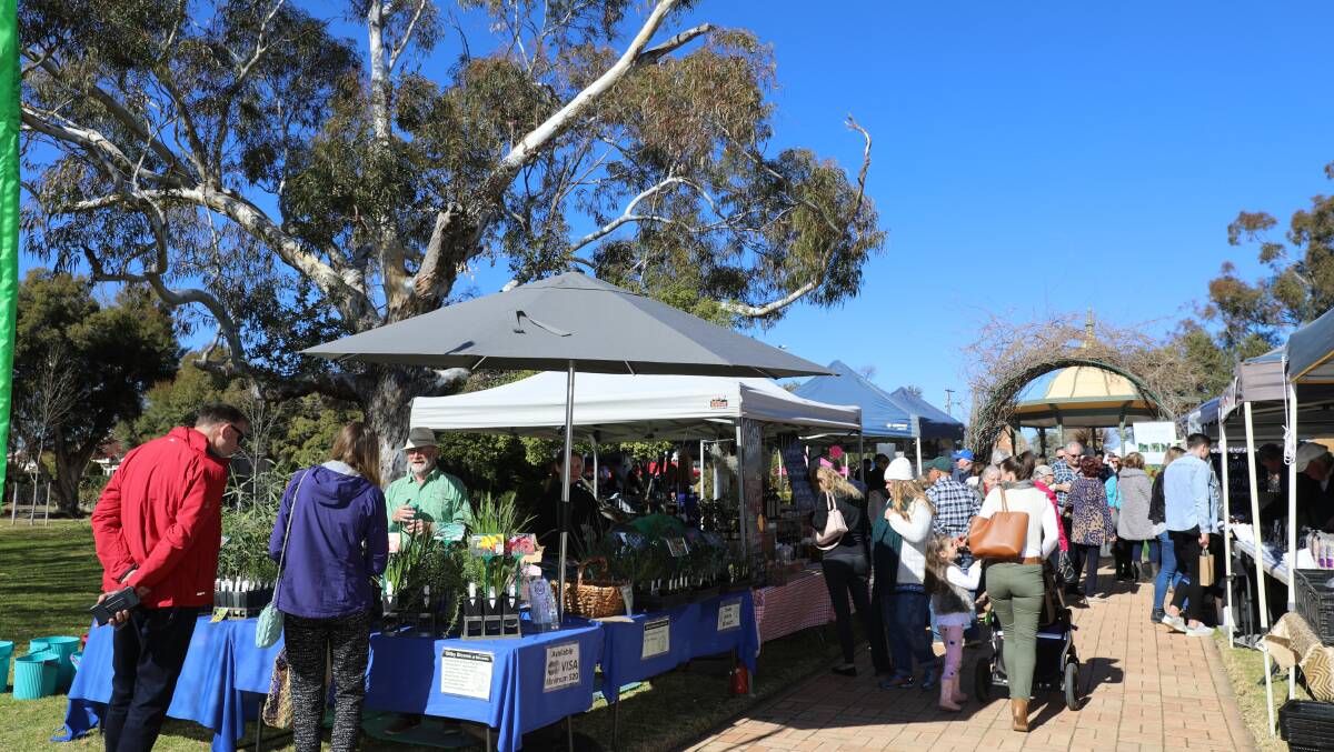 The Mudgee Farmers' Markets made their debut at Robertson Park on July 20, the beginning of a run of days with top temps in the high-teens, photo by Simone Kurtz.