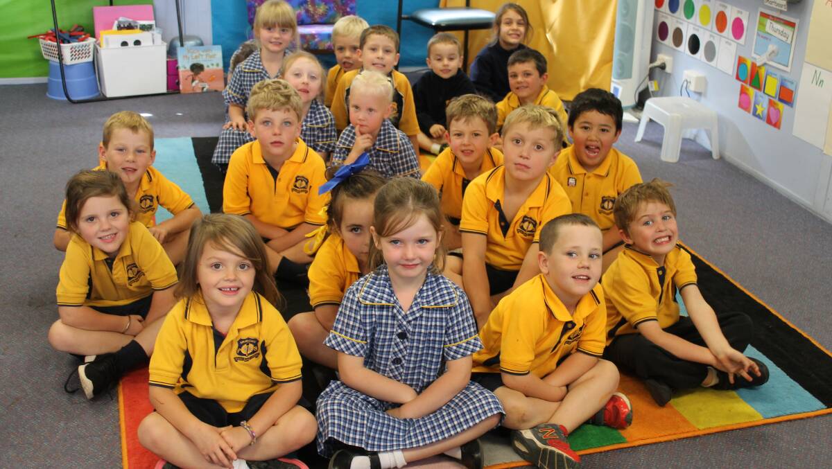 KINDER-INCREASE: Mudgee Public School is still the biggest school in the region, a large Kindergarten cohort in 2017 (such as class KN) helping.
