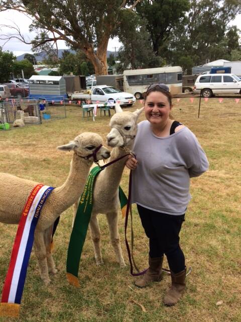 Sandra Huntley Nott with her Vision Alpacas Champion and Reserve Champion Huacayas.