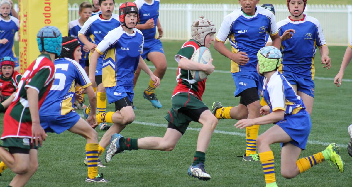 TAKE OFF: Angus Staniforth heading for his try for Western Region against South Coast, in the NSW PSSA Primary Rugby Union State Carnival, held at Glen Willow this week.