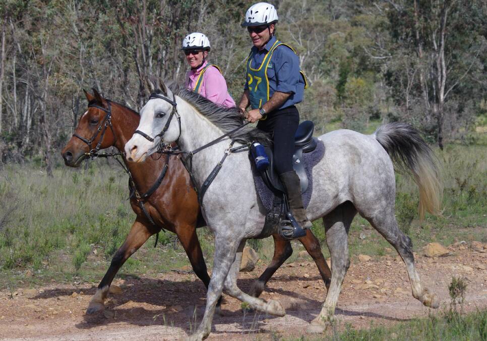  Victoria Bonham riding Bridle Track Bogart (6 hours 48 minutes) with husband, Chris Noonan riding Yaraandoo Myee-Jarrah from Bridle Track enjoyed the 80 kms event.