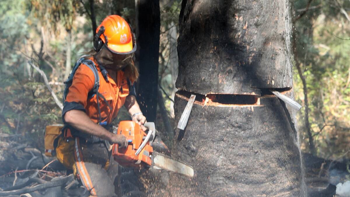 An RFS volunteer fells an unsafe tree at the foot of Mount Canobolas, one of the latest of thousands of fires across the state in the first two months of 2018. Photo: ANDREW MURRAY
