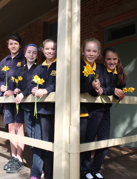 FLOWER OF THE DAY: Mudgee Public School students Dominic Lynn, Autumn Starbird, Sarah Marshall, Harriett Etherington, and Imogen Roberts with their daffodils.