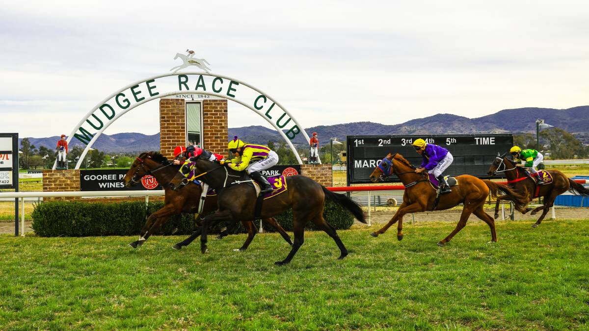 BRINGING IT HOME: Skygge heads to victory in the final race of the Mudgee long weekend meeting. Photo: Simone Kurtz.