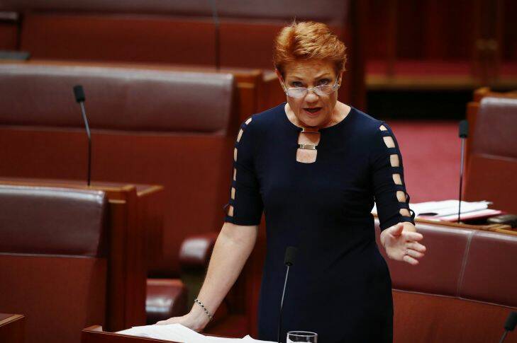 Senator Pauline Hanson in the Senate at Parliament House in Canberra on Wednesday 15 February 2017. fedpol Photo: Alex Ellinghausen  Photo: Alex Ellinghausen