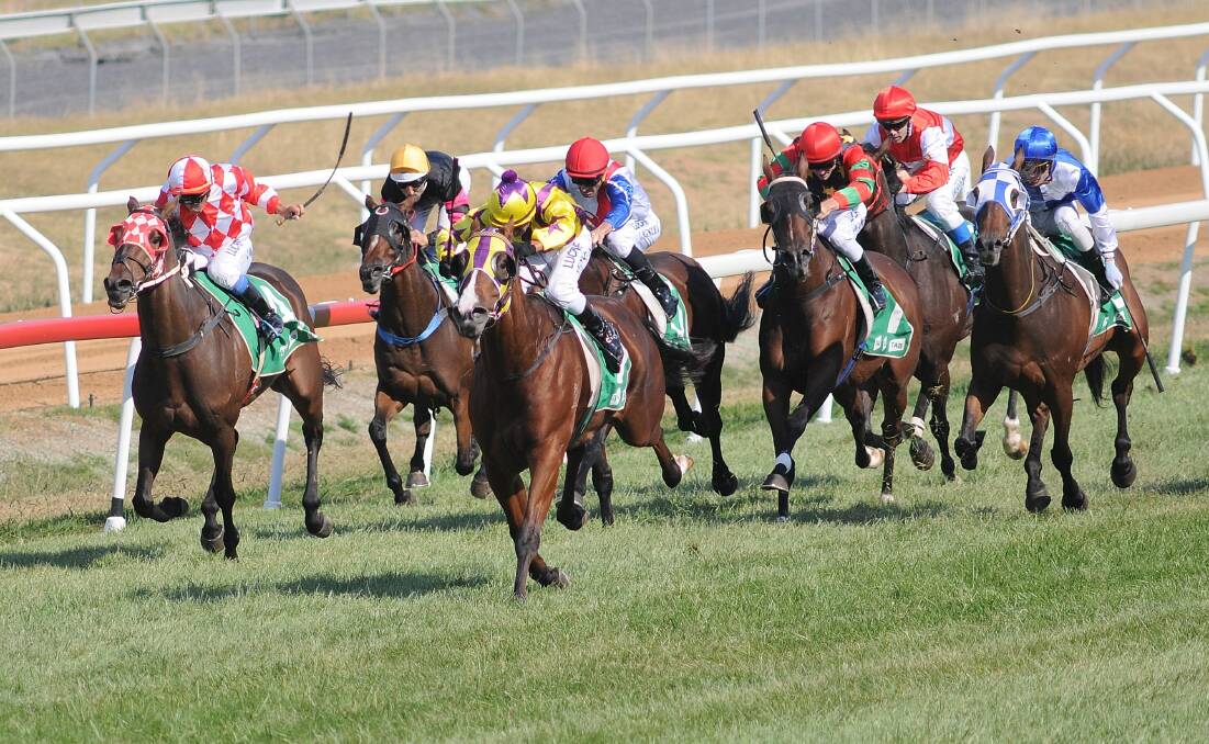 Connie Greig's Bee Plus ($5) put in a A-plus performance to take out the Angullong Wines Orange Cup Prelude Benchmark 65 Handicap (2100m) at Towac Park on Friday afternoon. Photo: STEVE GOSCH.