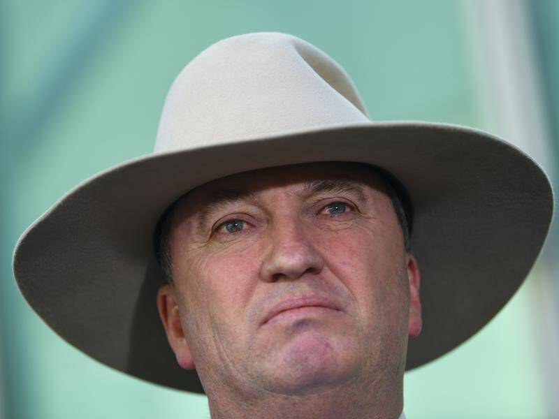 Barnaby Joyce says suggestions he be dumped as Nationals leader amount to a witch hunt (File).