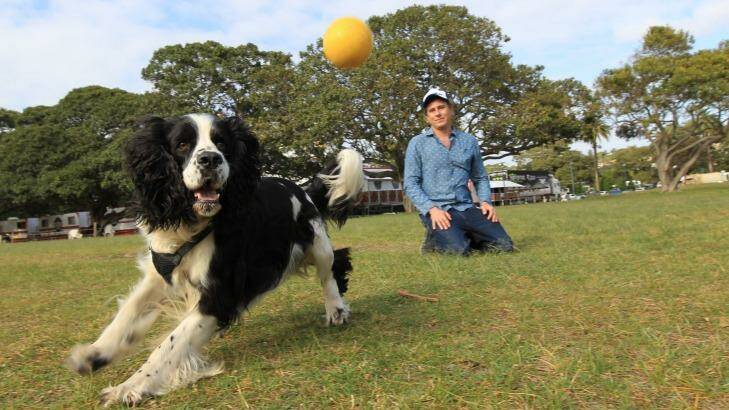 A Sydneysider can break the law by taking a dog to a dog-friendly park at the wrong time of day.  Photo: Peter Rae