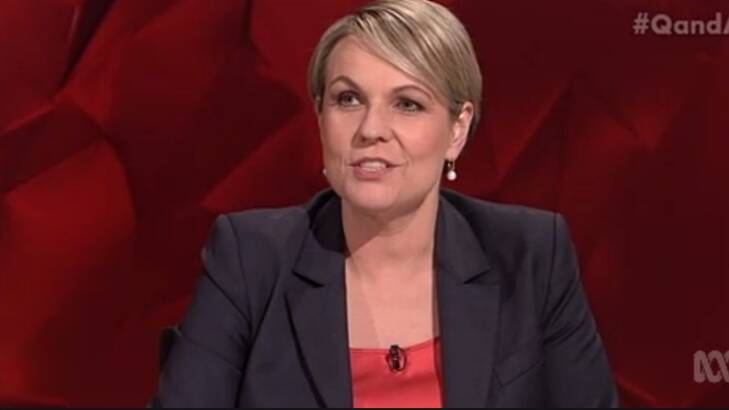 Opposition Deputy Leader Tanya Plibersek doesn't always enjoy ABC content either. Photo: ABC