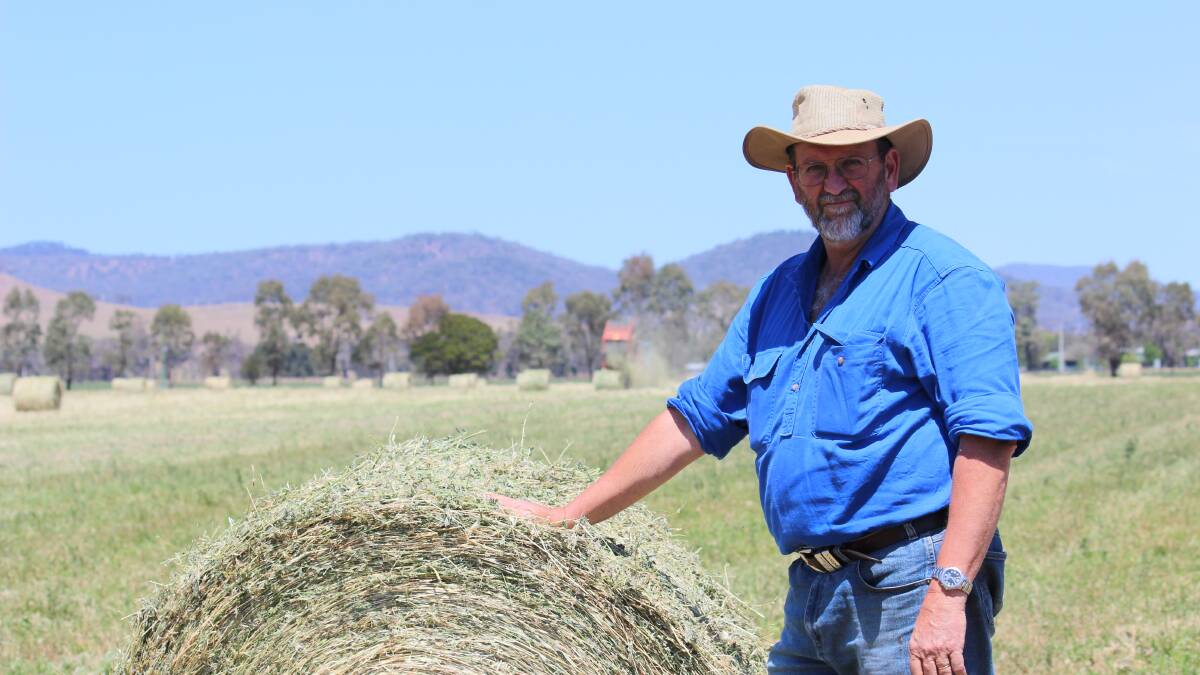 MANAGING THE VALLEY: Henry Bosman was recently appointed to oversee the management of land, farms and other assets owned by KEPCO in the Bylong Valley. 
PHOTO: DARREN SNYDER 231014/ds henry bosman/4771