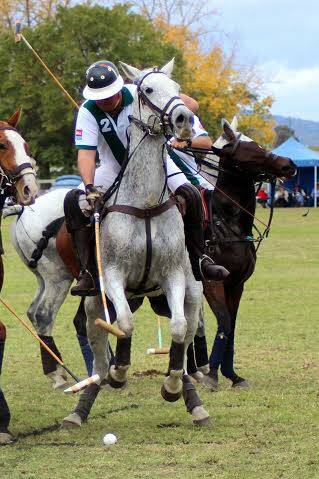 The polo action returns this Sunday for the inaugural City v Country clash at Parklands Resort.