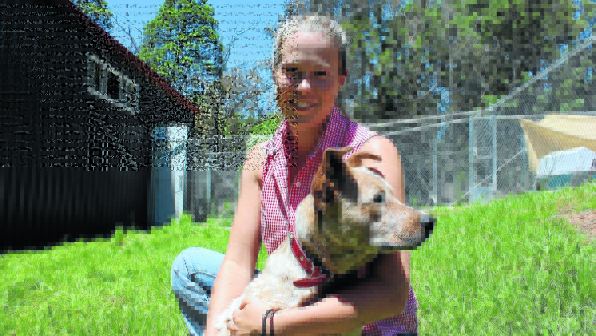 Grace Hambling with 'Red' (available for adoption). Grace has been nominated for the Australia Day Young Citizen of the Year award after saving the lives of more than 100 animals through the Friends of Mudgee Pound Facebook page.