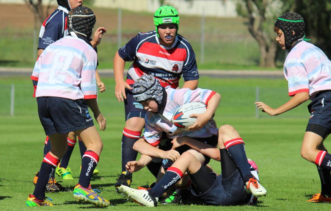 Mudgee Wombats under 13s Blue player Tim Rava is wrapped up by the Red defence on Saturday at Jubilee Oval. PHOTO: DARREN SNYDER
