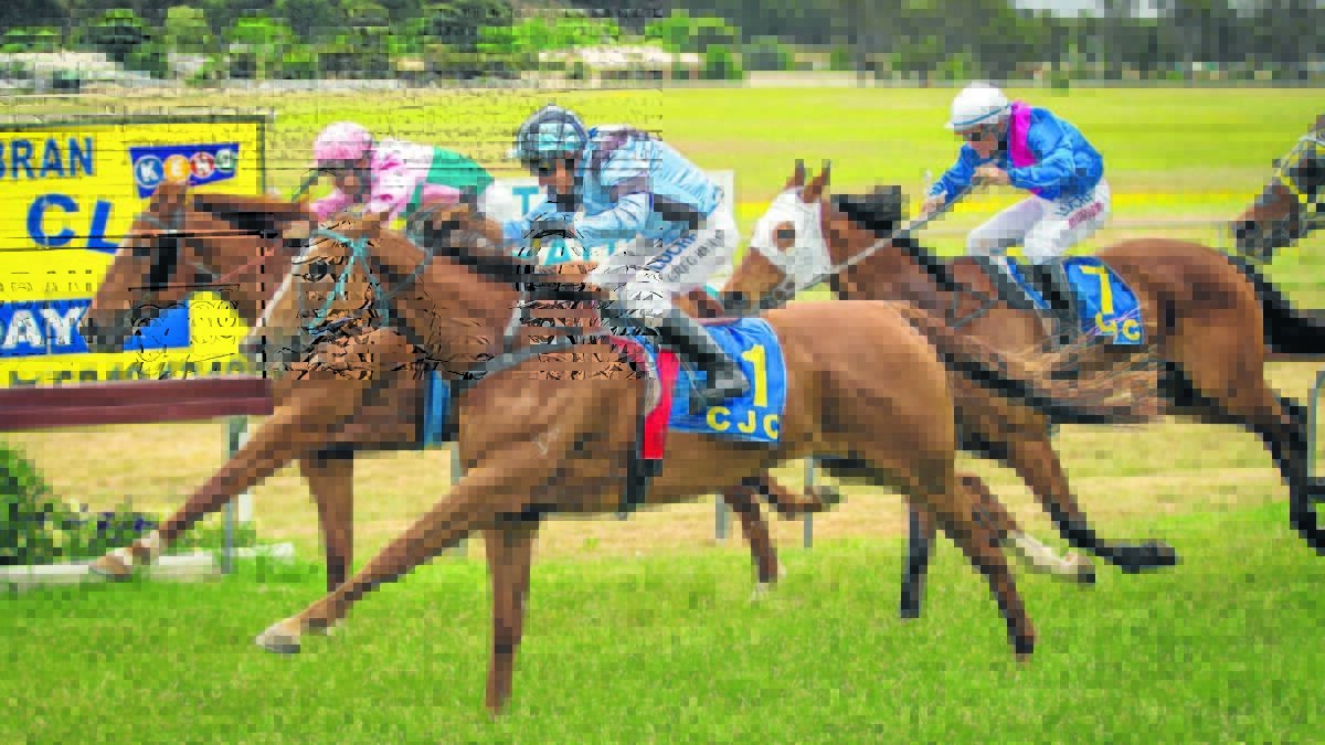 Cameron Crockett’s Are You Sure – pictured heading to victory at the Coonabarabran Cup - will feature in Sunday’s Gooree Cup. Photo: Janian McMillan (www.racingphotography.com.au)