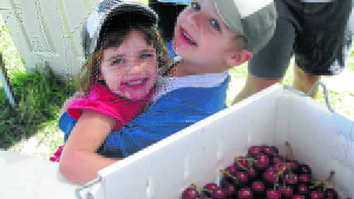 Chelsea and Cooper Callaghan enjoyed a day of cherry picking at Roth’s Orchard.