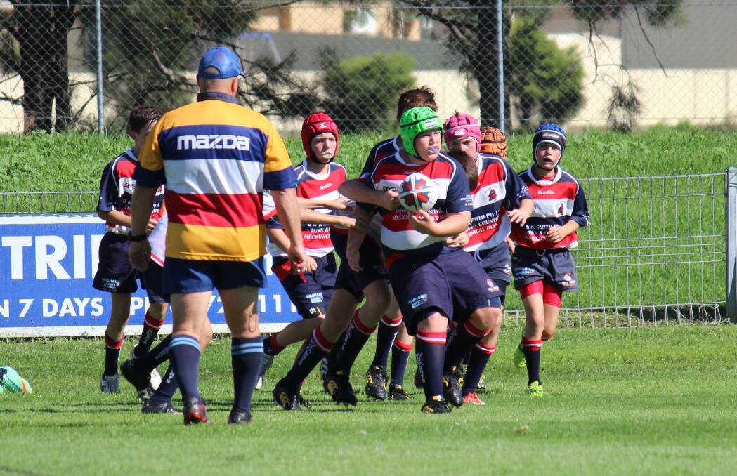 Mudgee Wombats under 13s Red player Flynn Keightley takes the ball from a scrum at Jubilee Oval on Saturday. PHOTO: DARREN SNYDER