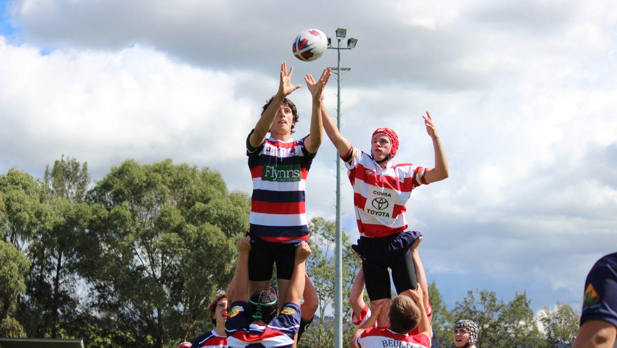 Mudgee Wombats under 17s player Hayden O'Reilly takes the lineout at Jubilee Oval on Saturday. PHOTO: DARREN SNYDER