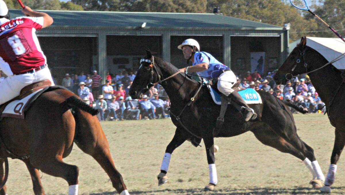 Gulgong player Chris Anderson played in the number 2 position for NSW at the Polocrosse Nationals, held in Albury recently.