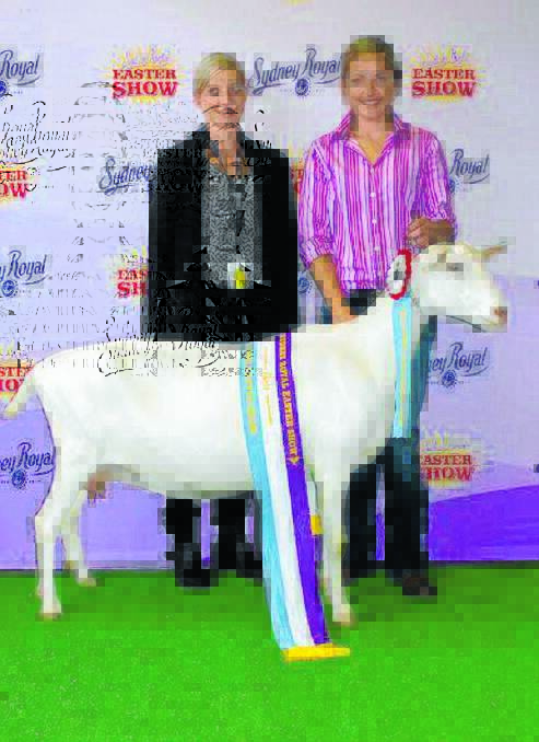 Naomi and Krystle Bishop of osory Stud with the Best Dairy Goat in show. Osory Stuf won 22 ribbons at the Royal Easter Show this year.