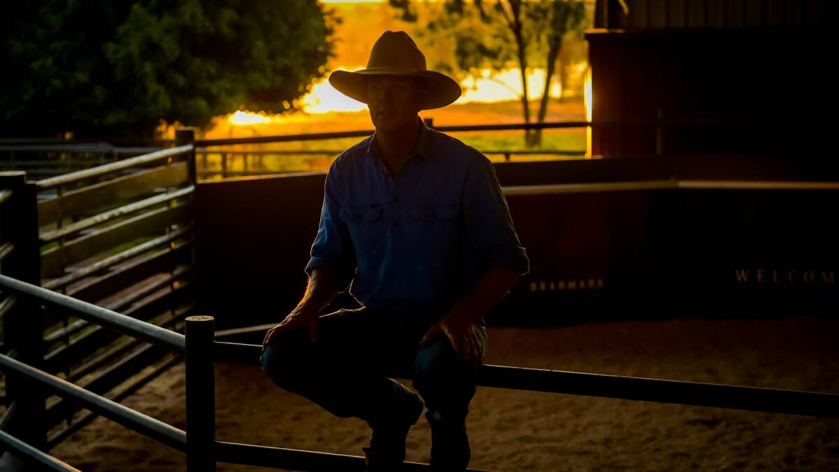 The sun sets on the sale ring. Photo - Kelly Butterworth. 