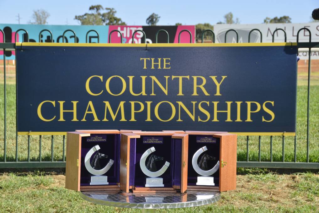 Many Mudgee and Gulgong trainers turned out for the Dubbo meet - the Country Championships, and while the big story was Pracey-Holmes, the locals made an impact.