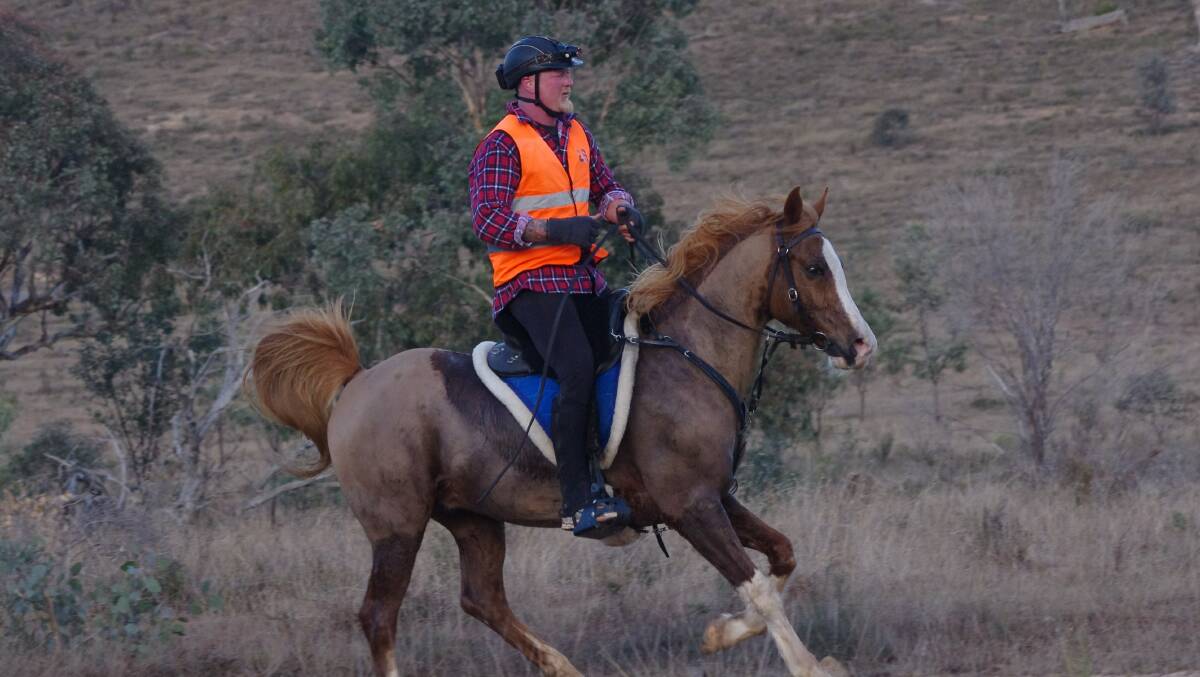 FIRST: Stephen Bennett riding Aloha Zac who were the first heavyweight in the 80km event in 4:56. Photo: Animal Focus. 