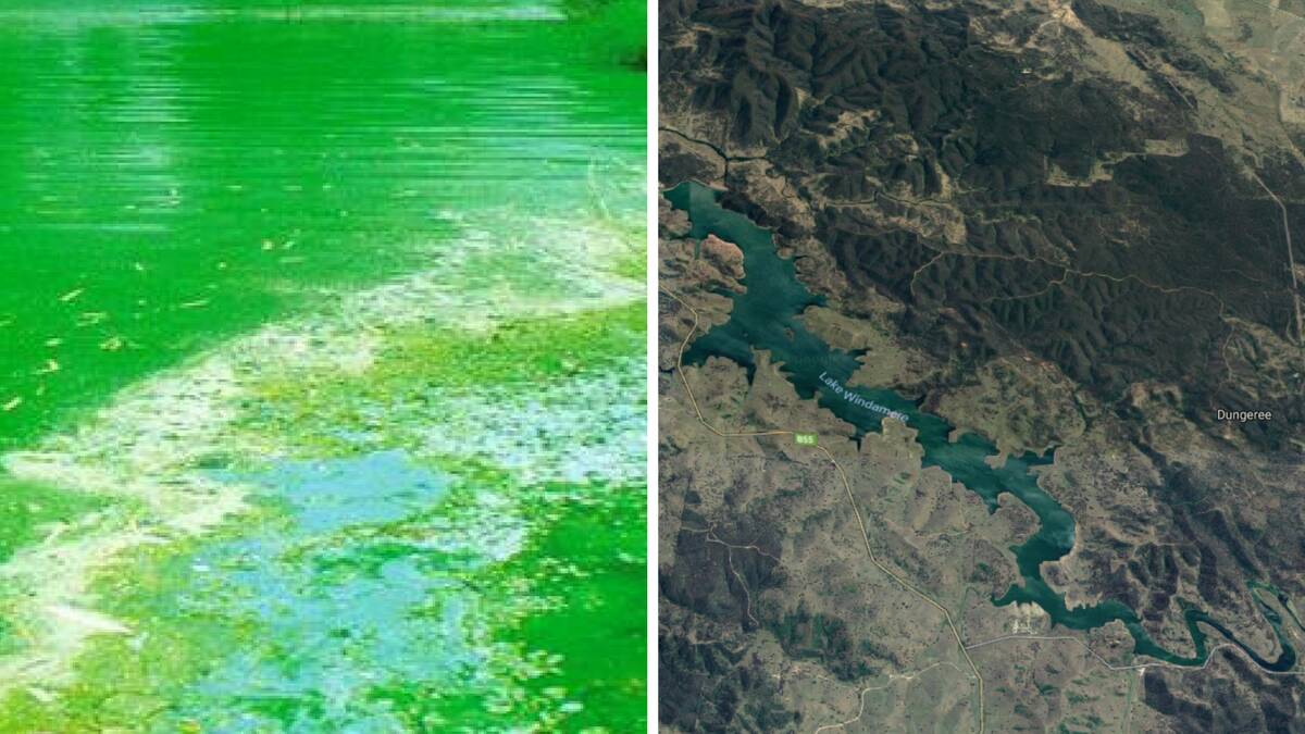 Blue green algae Red Alert warning lifted at Windamere Dam