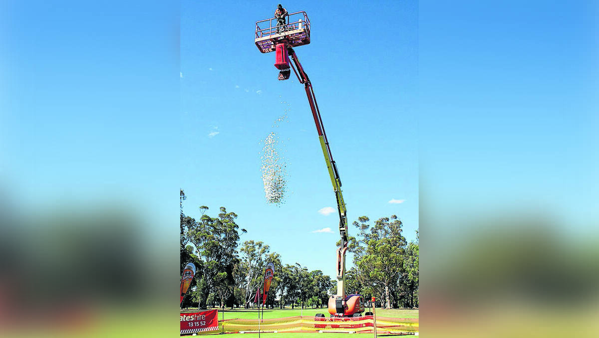 Numbered golf balls are dropped from a wheelie bin attached to a cherry picker over a green at the Mudgee Golf Club on Sunday afternoon.